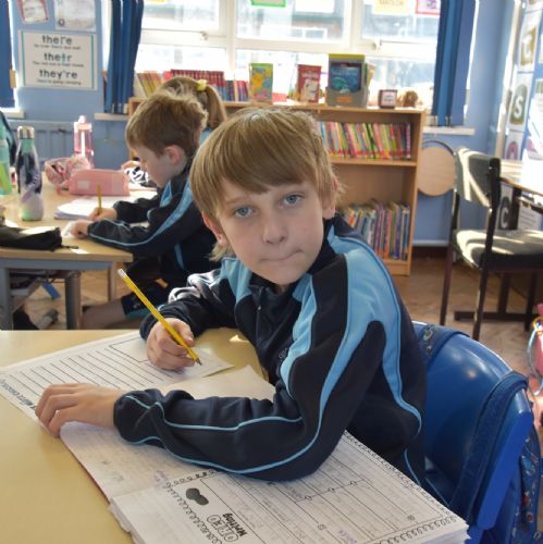 Persuasive Writing - Milk Chocolate V  White
