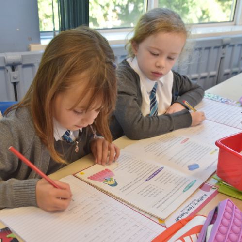P4 Literacy